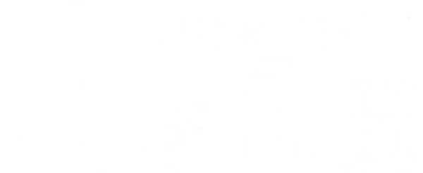 Эксперименты Лэйн