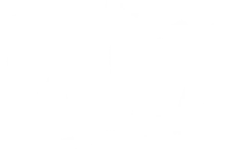 Это Пони