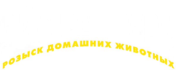 Эйс Вентура: Розыск домашних животных