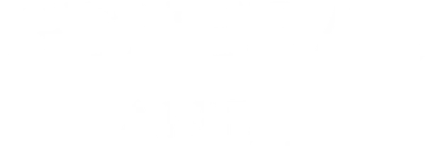 Генерал и я