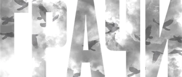 Грачи