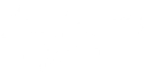 Хаяо Миядзаки и птица