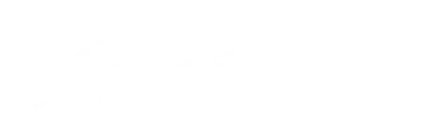 Холстон