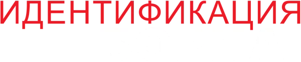 Идентификация Борна