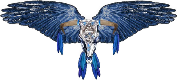 История «Eagles»