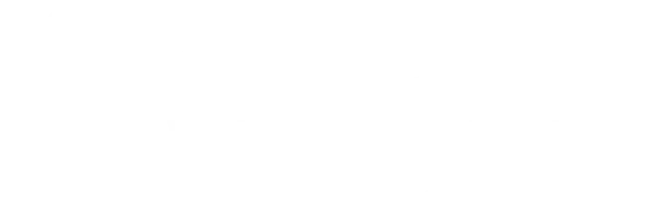Ивановы-Ивановы
