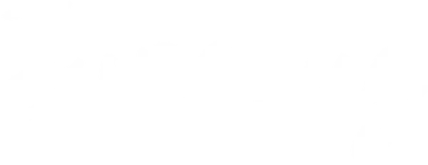 Июньский жук