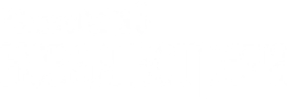 Из моего окна 3: новая встреча