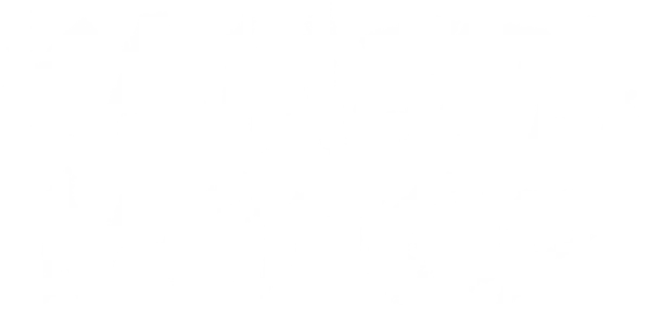 Камера мотор