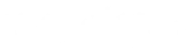Король и Шут