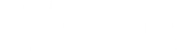 Король ставок