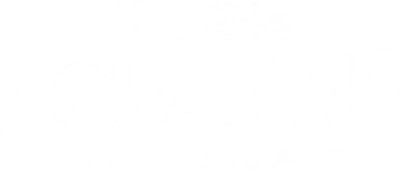 LEGO Супергерои DC: Аквамен. Ярость Атлантиды