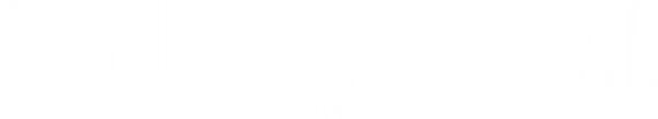 Летящие сквозь ночь