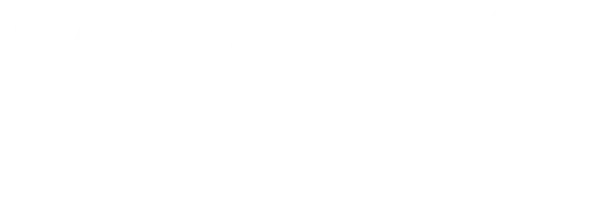 Мальчик и птица