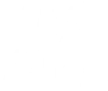 Мой Хатико