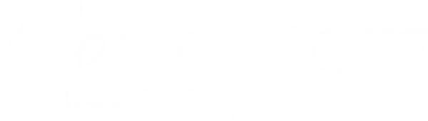Моя страна. Новый век