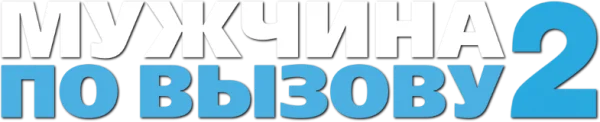 Мужчина по вызову 2
