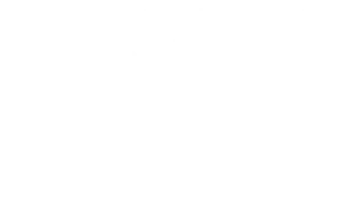 Необычайные приключения Адель