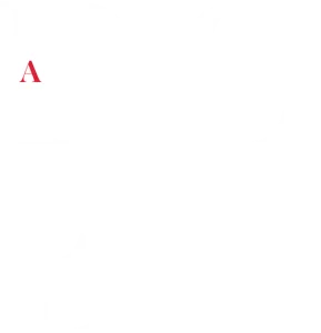 Поэт