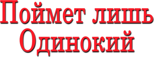 Поймет лишь одинокий