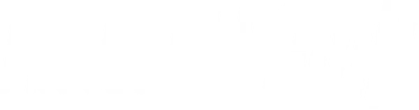 Проект «Легион»