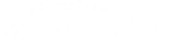 Проект Подиум