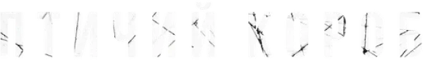 Птичий короб