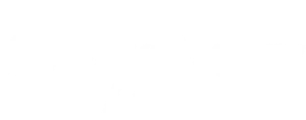 Революционная любовь
