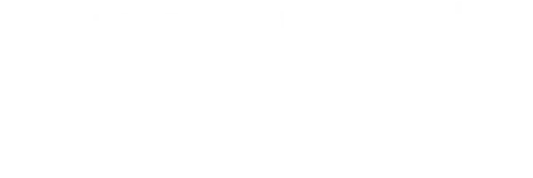 Шина