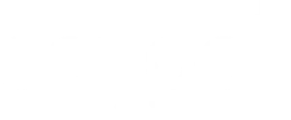 Школа 2013