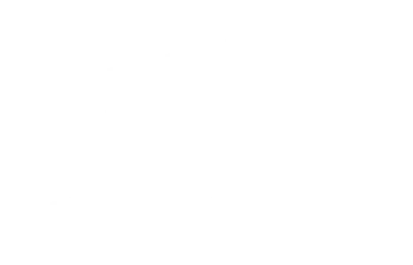Шпион, которого не было