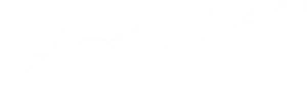 Сильная любовь