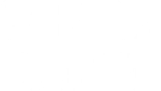 Синдром жизни