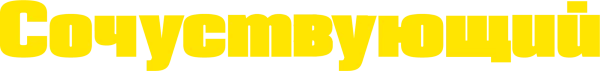 Сочувствующий