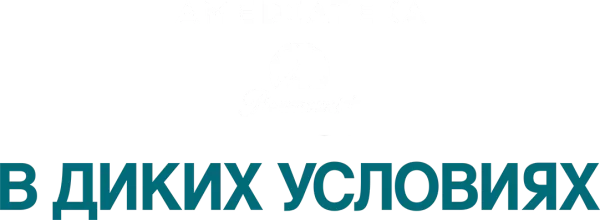 В диких условиях