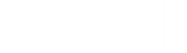 Видеодром