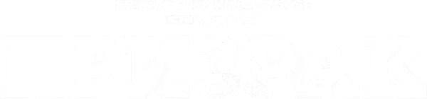 Власть в ночном городе. Книга вторая: Призрак