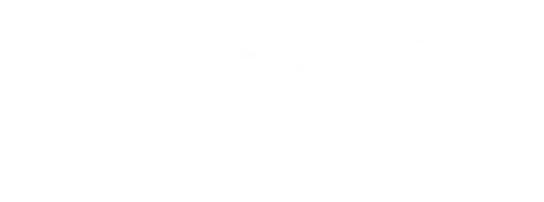 Воины