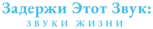 Задержи этот звук: Звуки жизни