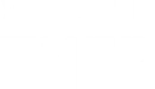 Жил-был Тигр