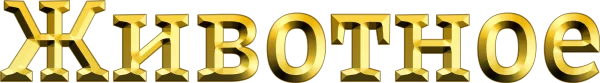 Животное