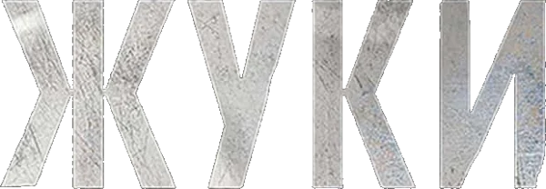 Жуки