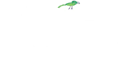 Звездочки на земле